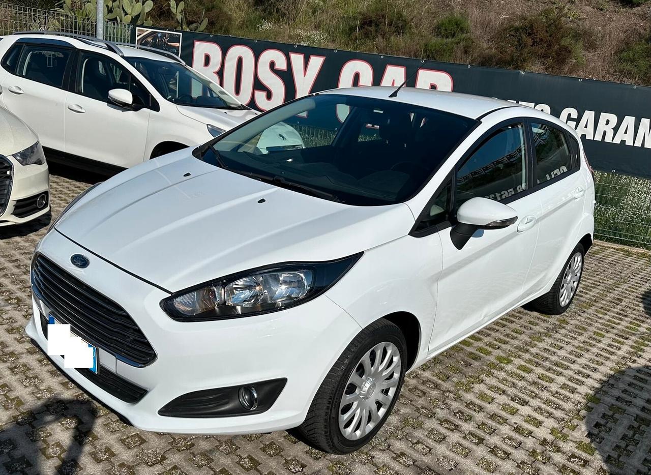 Ford Fiesta 1.5 TDCi 75CV 5 porte-2013