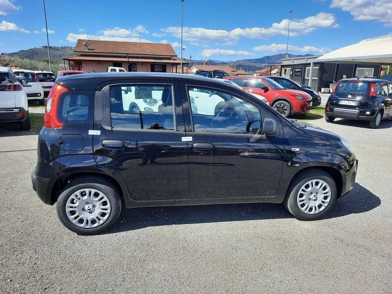 FIAT Pandina 1.0 FireFly 65cv S&S 6m Hybrid Icon
