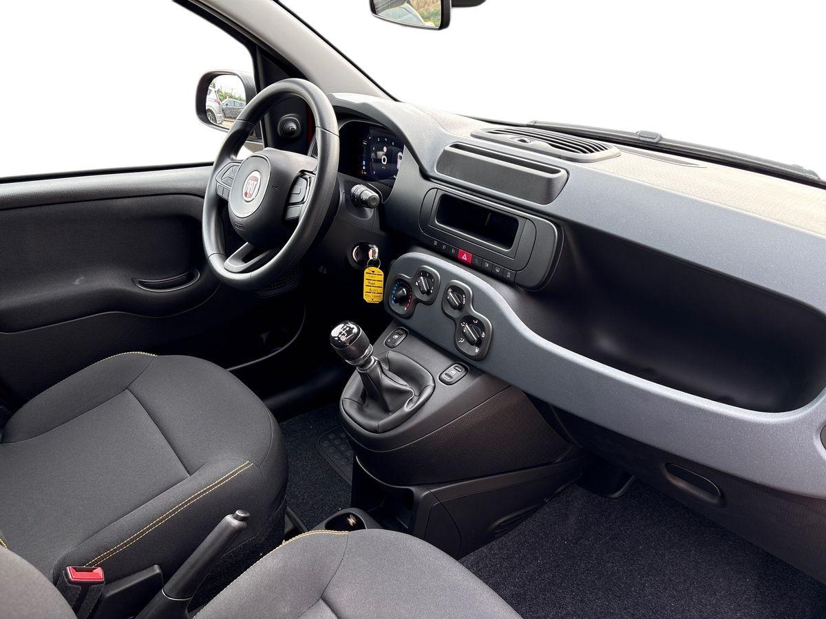FIAT Panda III 2024 - Panda 1.0 firefly hybrid s&s 70cv