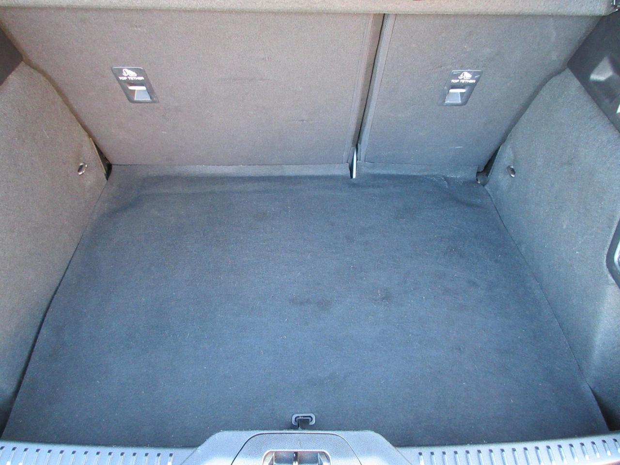 Ford Focus 5 Porte Focus 1.5 ecoblue ST-Line 115cv auto