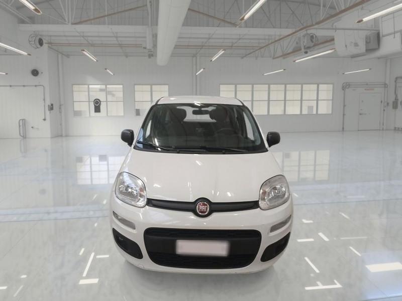 FIAT PANDA 1.2 69 CV SES E6D-TEMP EASY 5 PORTE BERLINA