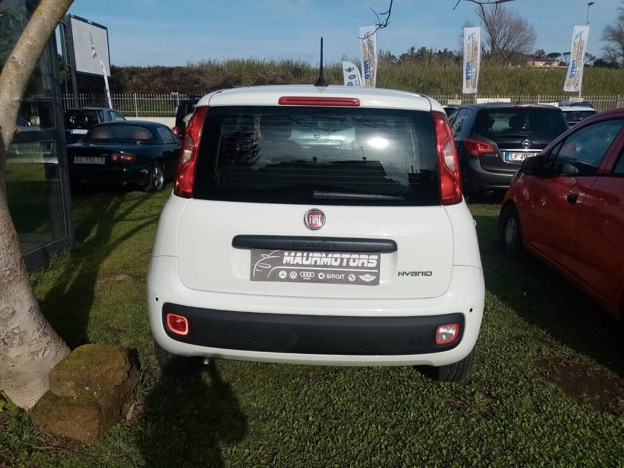 NOLEGGIO FIAT PANDA 1.0 FIREFLY SS HYBRID PANDINA