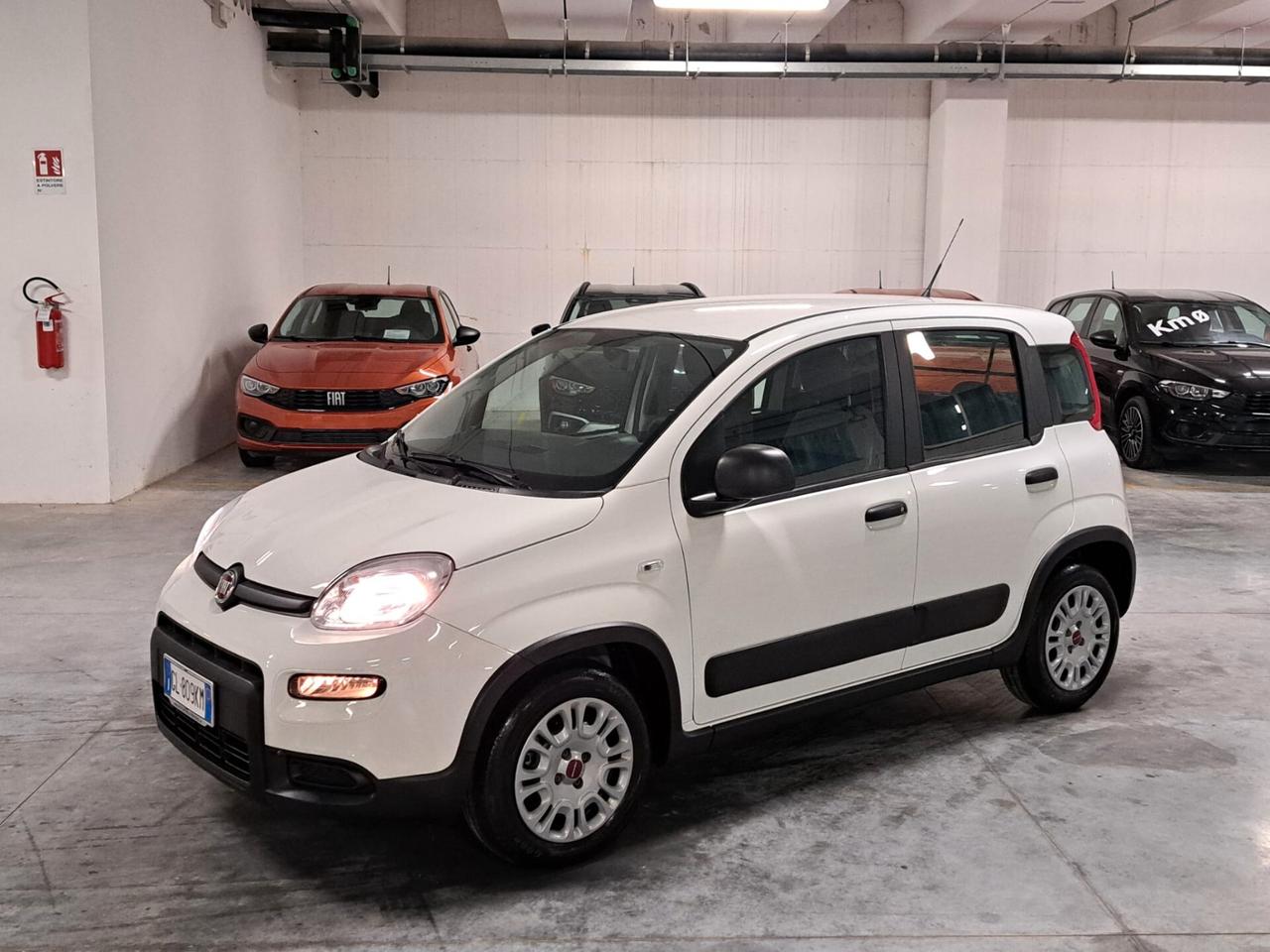 Fiat Panda 1.0 FireFly Hybrid Street N1 Autocarro 4 Posti