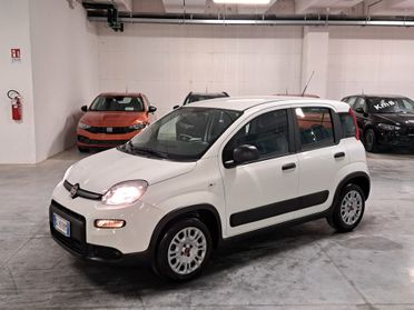 Fiat Panda 1.0 FireFly Hybrid Street N1 Autocarro 4 Posti