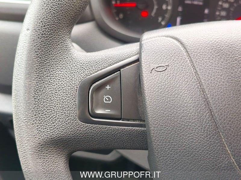 Opel Movano STX 35 2.2 BlueHDi 165 PLM-SL 3p. TRASPORTO CAVALLI - NETTO IVA