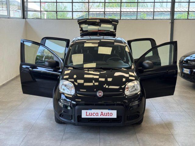 FIAT Panda 1.0 FireFly S&S Hybrid *UNICO PROPRIETARIO*