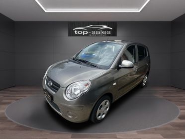 Kia Picanto 1.0 12V 5 porte Trendy Perfetta Ok Neopatentati