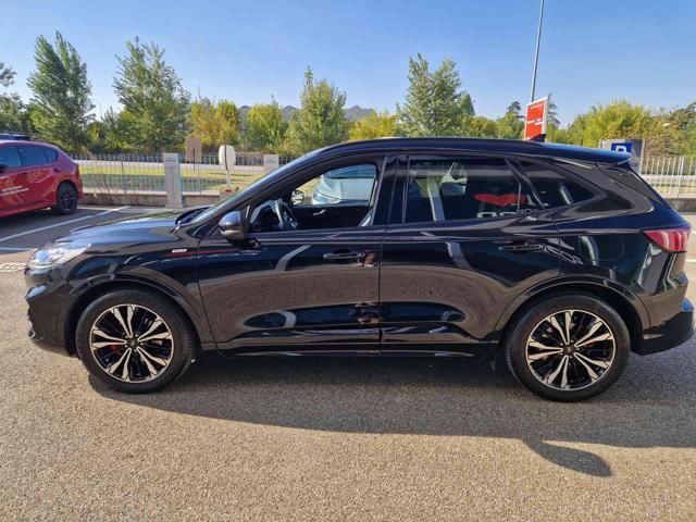 FORD Kuga 1.5 EcoBlue 120 CV aut. 2WD ST-Line X