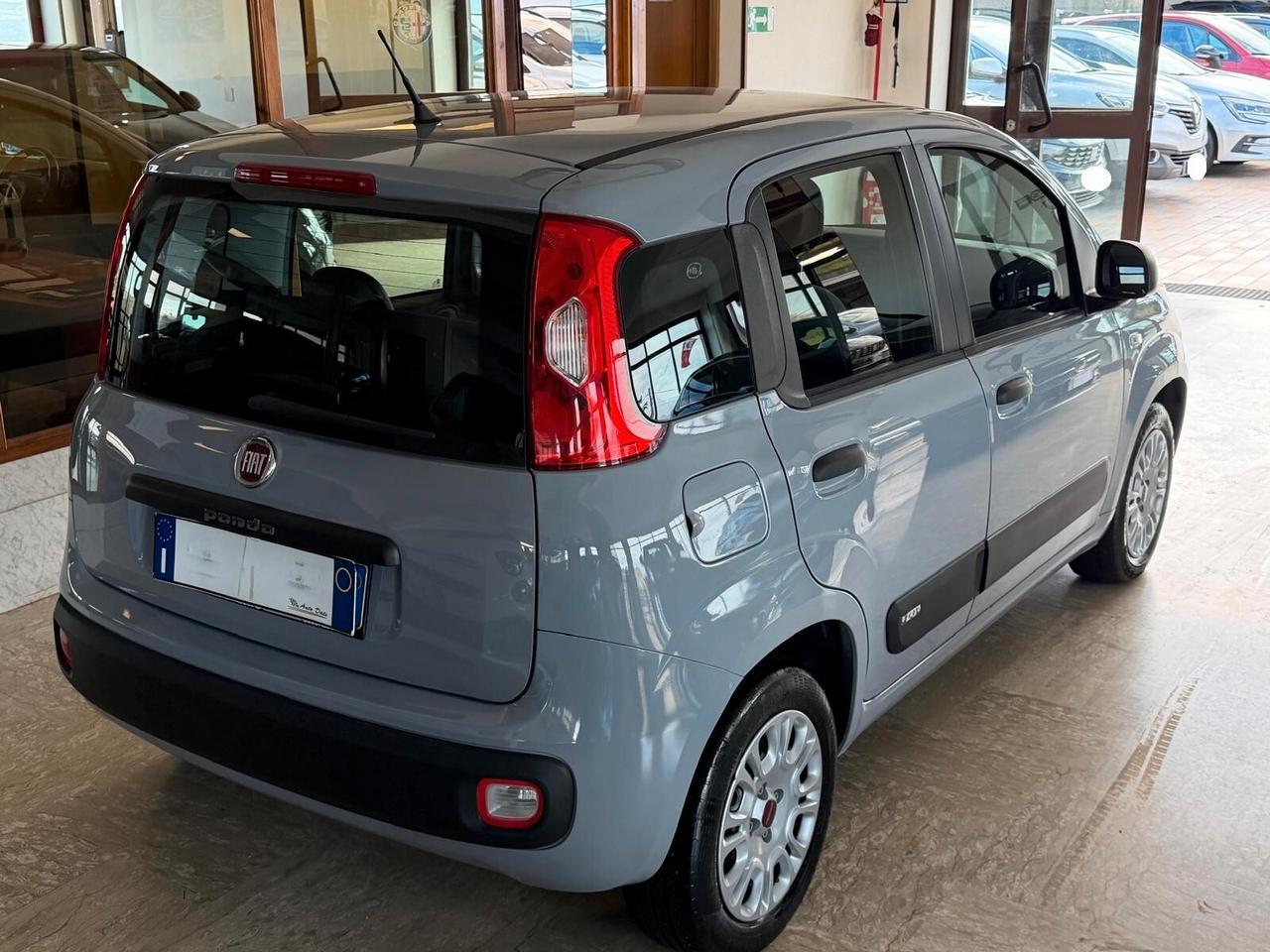 Fiat Panda New 1.2 69 cv. EasyPower EASY (Imp GPL)