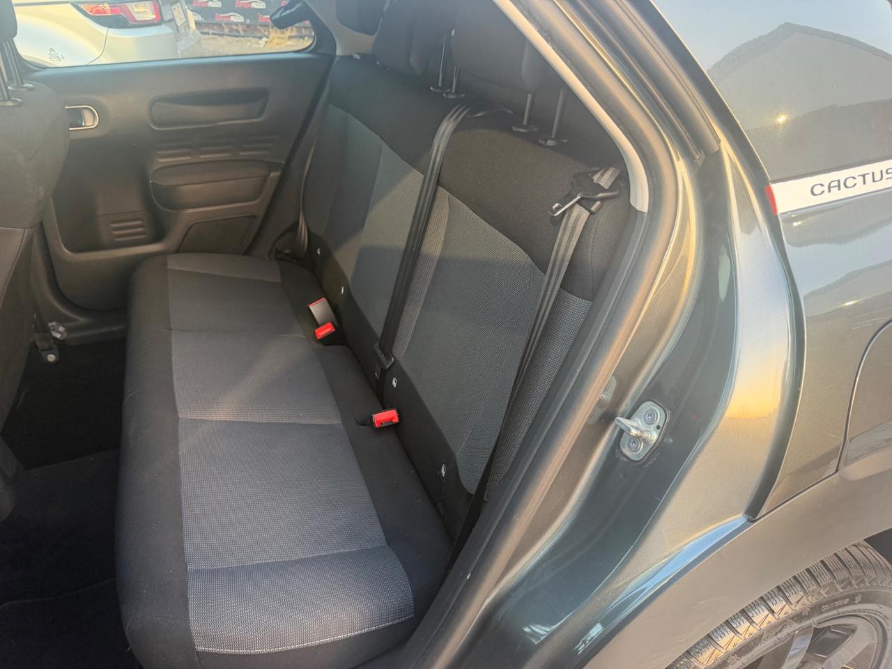 Citroen C4 Cactus PureTech 110 S&S Shine
