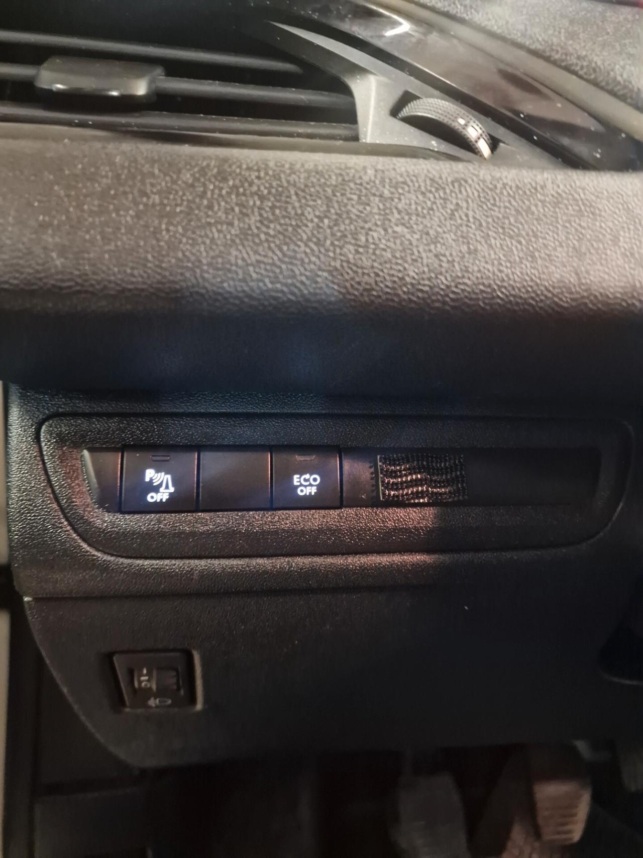 Peugeot 208 BlueHDi 100 S&S 5 porte Van Active