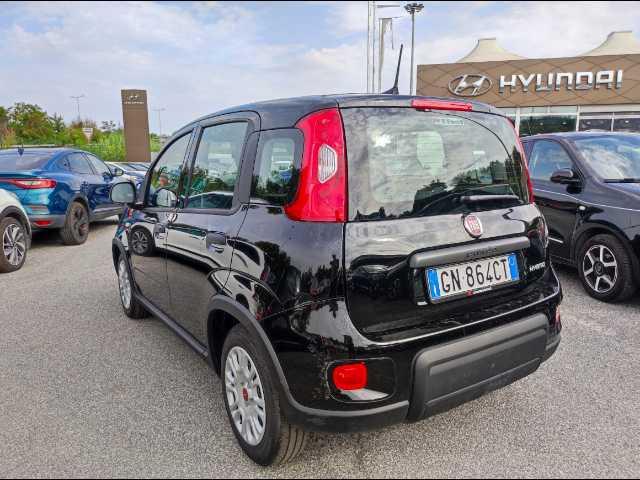 FIAT Panda III 2021 - Panda 1.0 firefly hybrid s&s 70cv