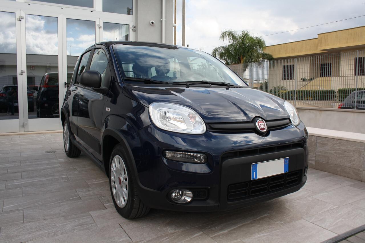 FIAT PANDA 1.0 70CV HYBRID 4P STREET N1 *2021