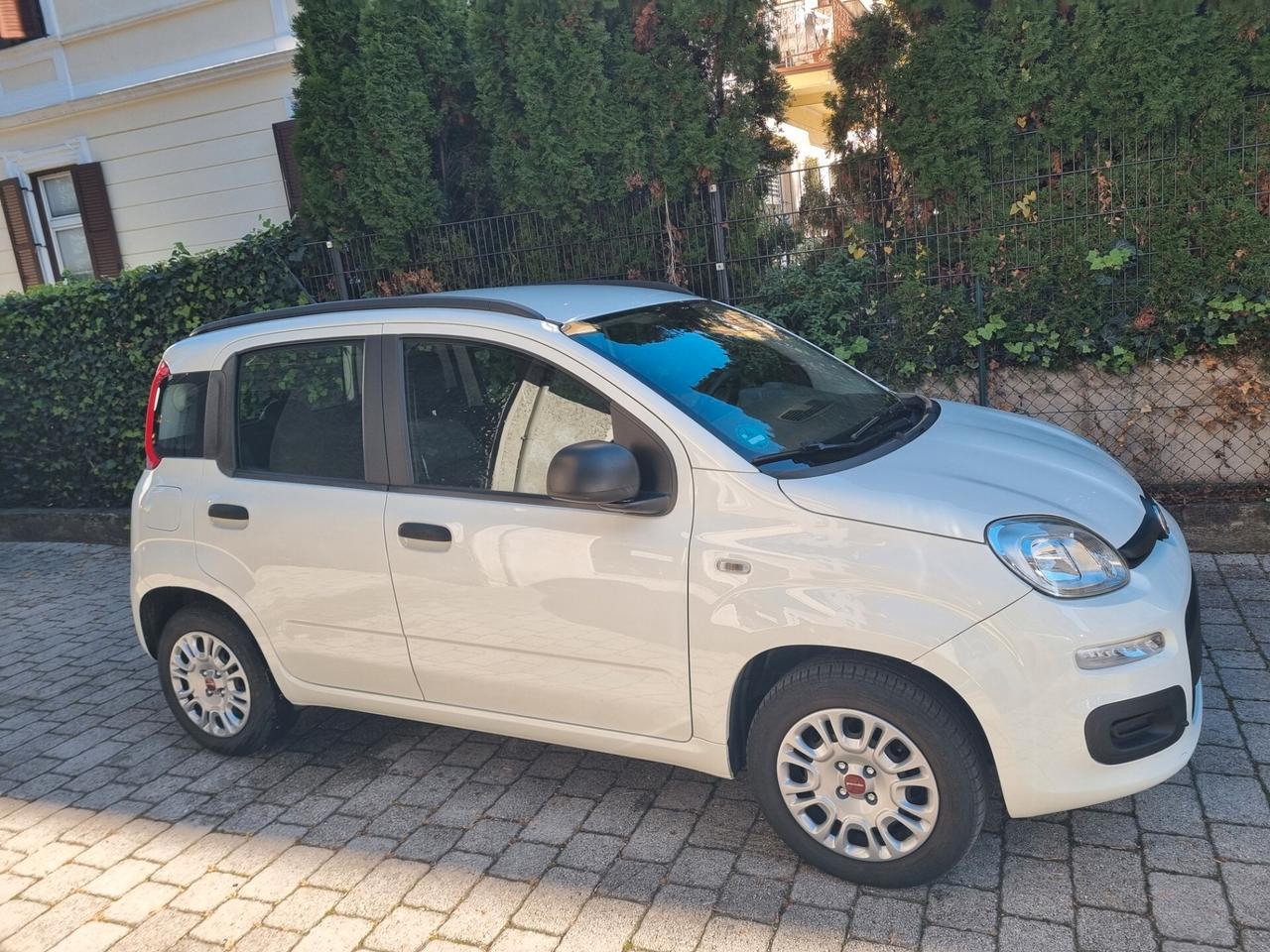 Fiat Panda 1.2 benzina 69cv anno2020 km39000 neopat