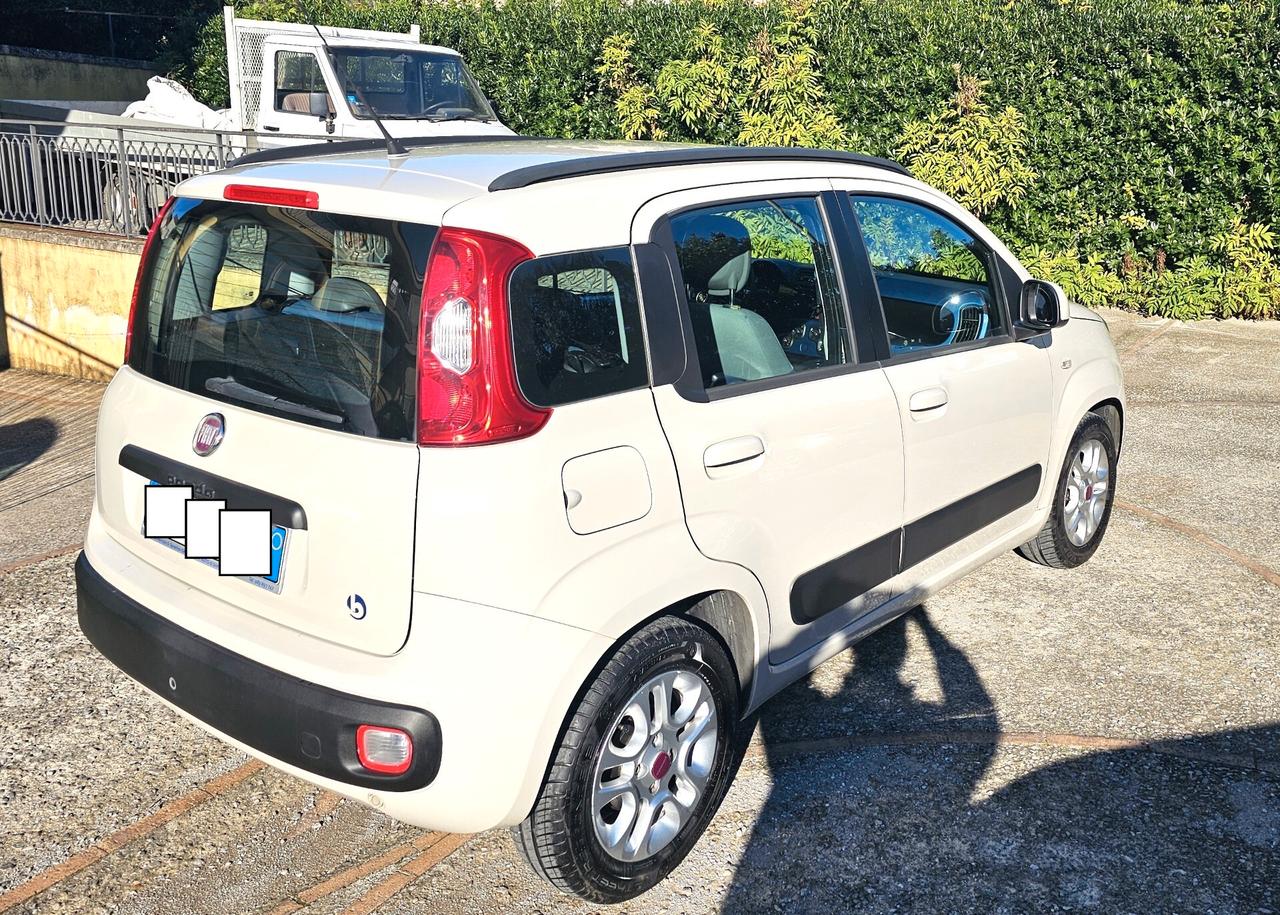 Fiat Panda 1.3 MJT SENSORI PARK CERCHI IN LEGA GARANZIA