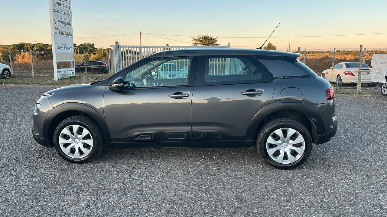 Citroen C4 Cactus BlueHDi 120 S&S EAT6 Shine