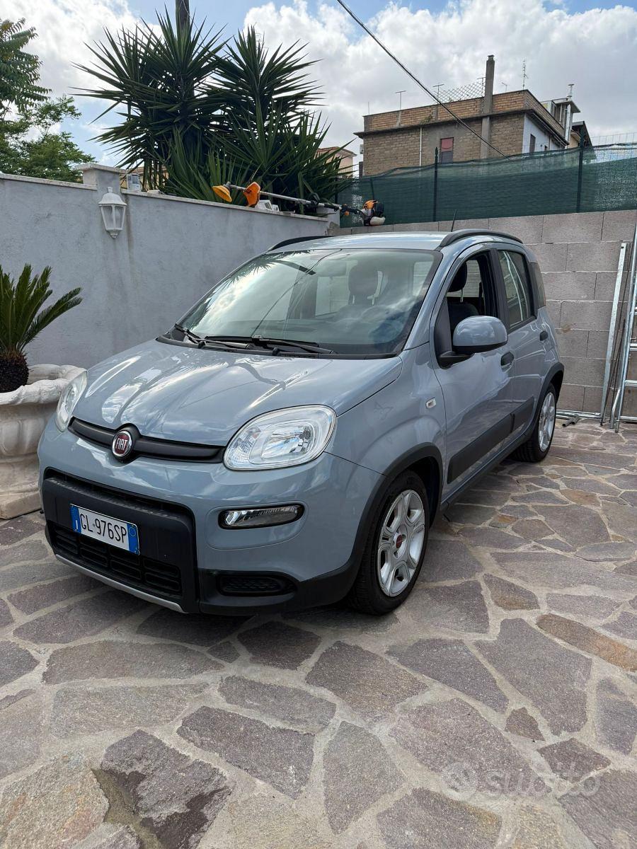fiat panda