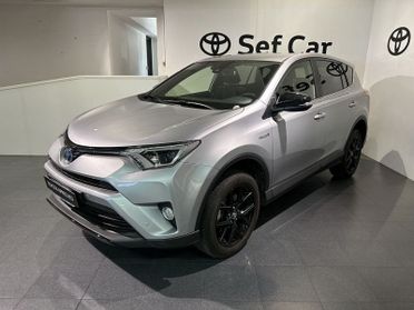 Toyota RAV4 2.5 Hybrid 2WD Dynamic
