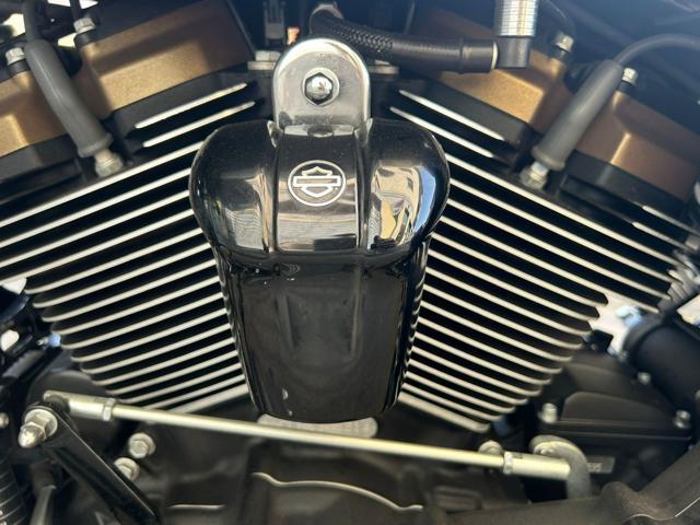 HARLEY-DAVIDSON CVO Road Glide ST