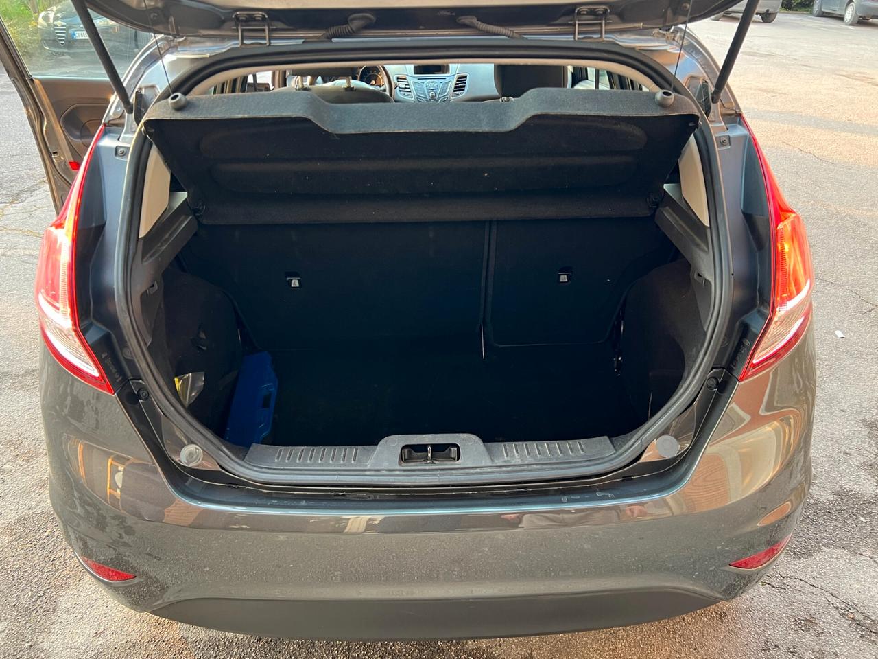 Ford Fiesta 1.5 TDCi 75CV 5 porte Black & White Edition