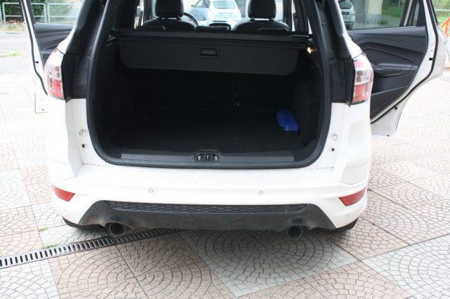 FORD Kuga 2.0 TDCI 180 CV S&S 4WD Powershift ST-Line