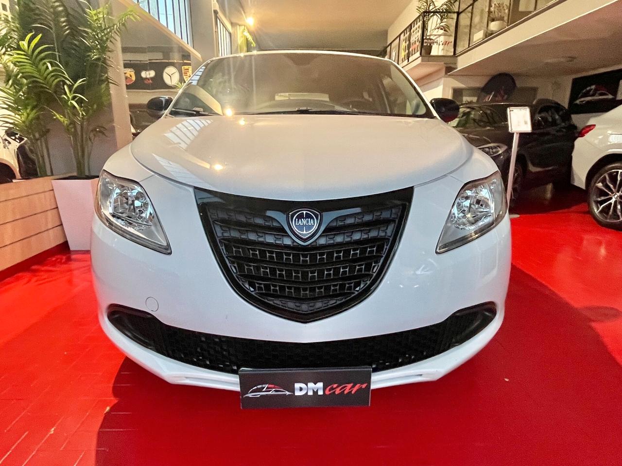 Lancia Ypsilon 0.9 TwinAir 85 CV Metano Elefantino