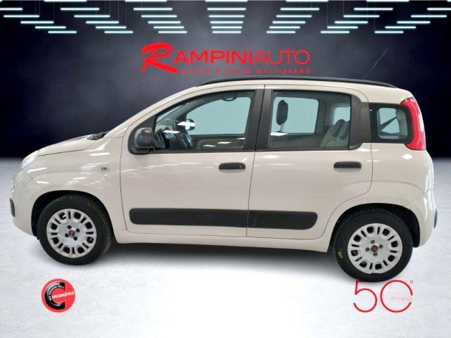 FIAT Panda 1.2 Easy Km 71.000 Unico Proprietario Pronta Conse