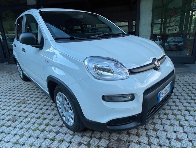 Fiat Panda 1.0 FireFly S&S Hybrid 2024