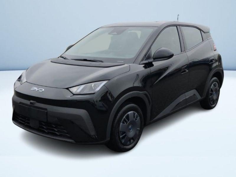 BYD Dolphin Surf Active