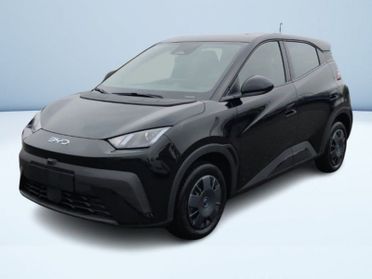 BYD Dolphin Surf Active