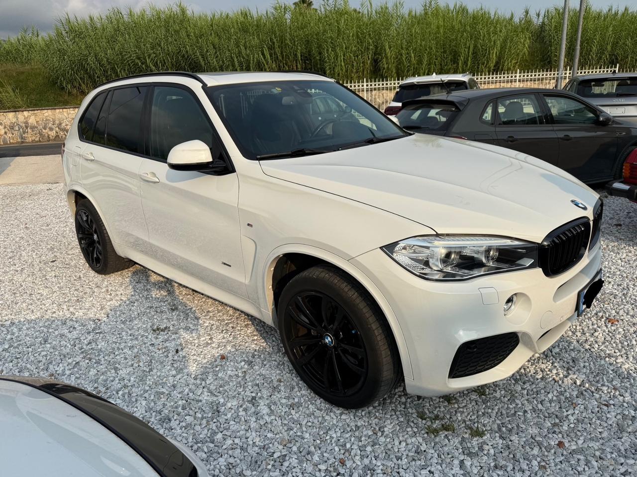 Bmw X5 sDrive25d Luxury