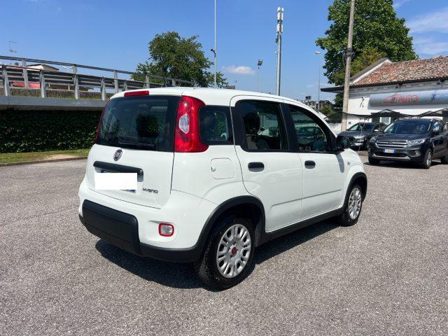 FIAT Panda 1.0 FireFly S&S Hybrid 70CV UNICO PROPRIETARIO