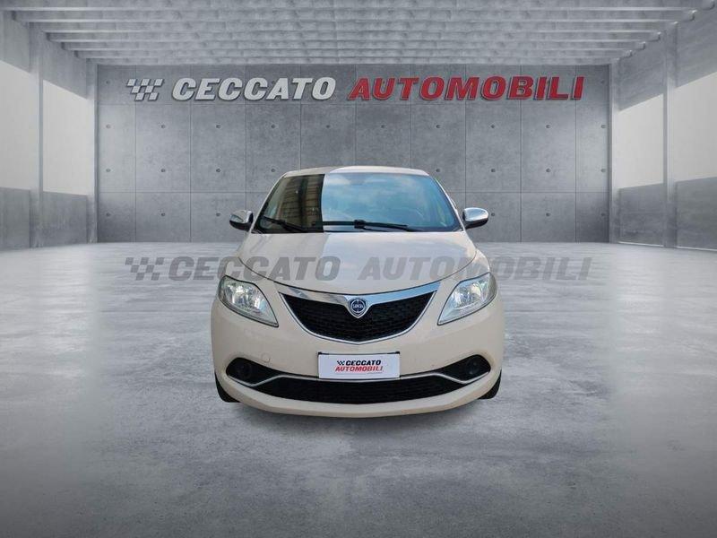 Lancia Ypsilon Ypsilon 1.3 mjt Platinum s&s 95cv my16