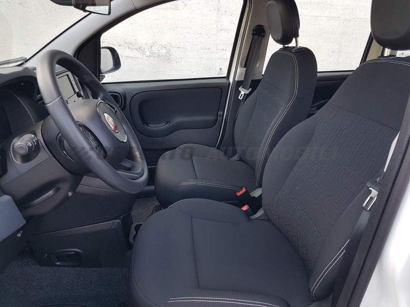 FIAT Panda Panda 1.0 70cv Hybrid Icon