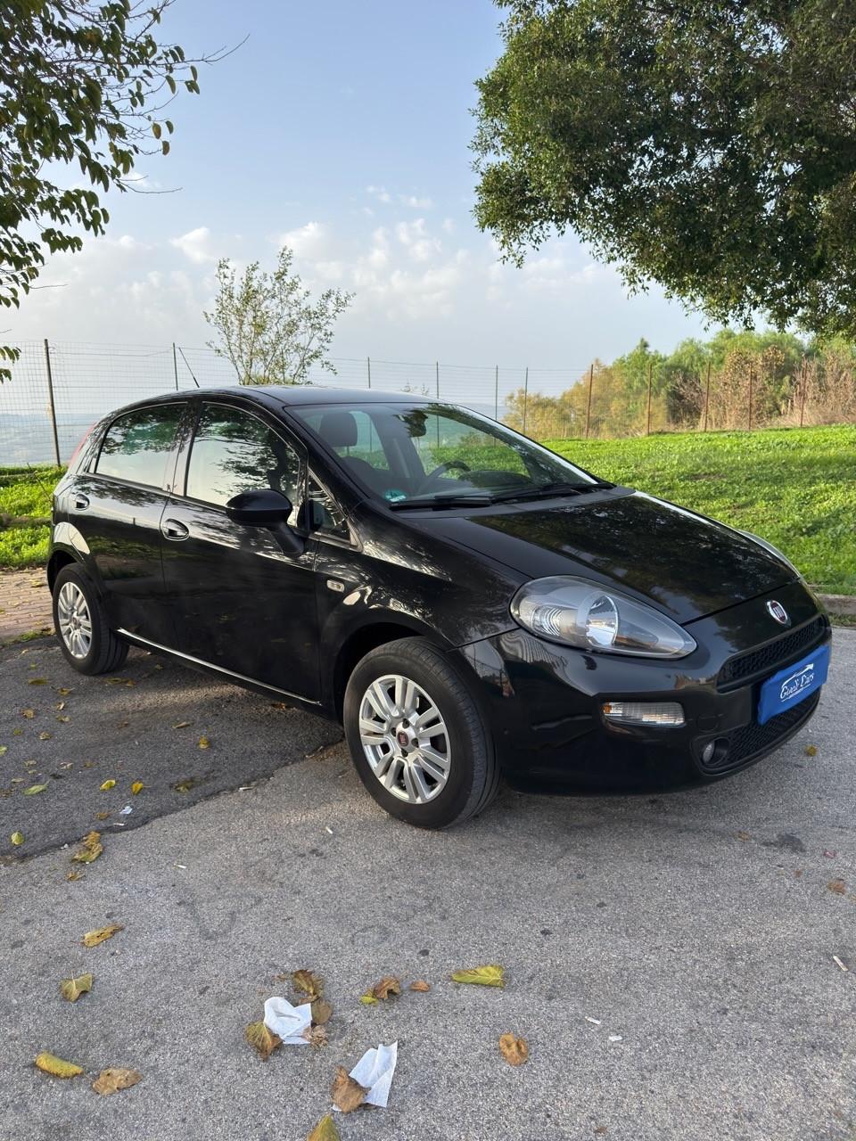 Fiat Punto 1.2 8V 5 porte Street