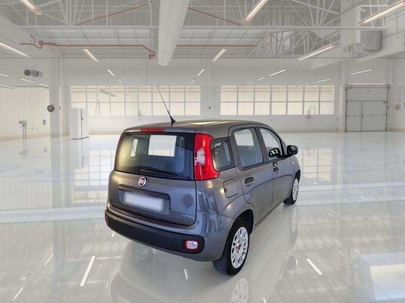 FIAT PANDA 1.2 69cv E6d-Temp Easy 5 PORTE
