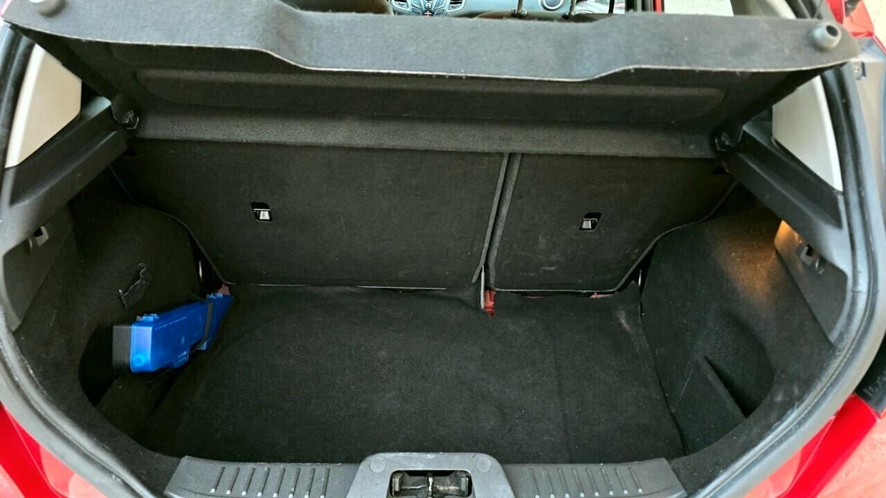 Ford Fiesta 1.5 TDCi 95CV 5 porte Business