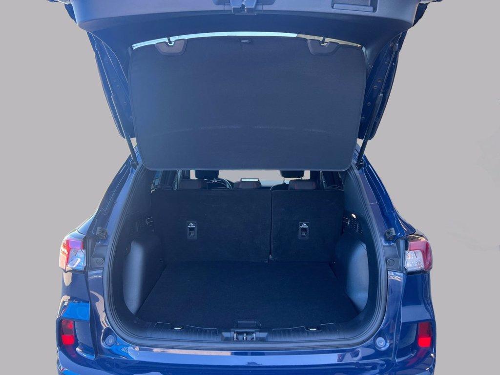 FORD Kuga 2.5 Full Hybrid 190 CV CVT 2WD ST-Line del 2023