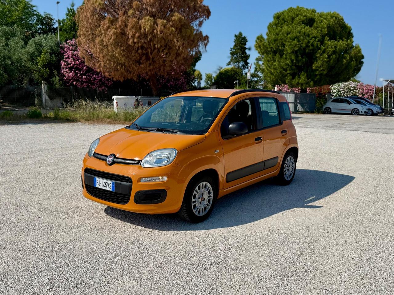 Fiat Panda 1.2 GPL euro6B NEOPATENTATATI Unicoproprietario
