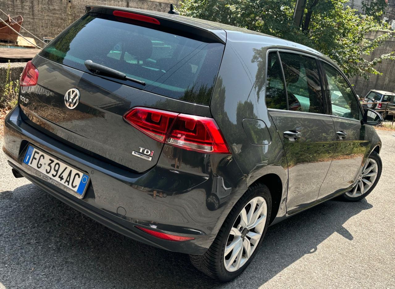 Volkswagen Golf 1.6 TDI 110 CV 5p. Highline BlueMotion Technology