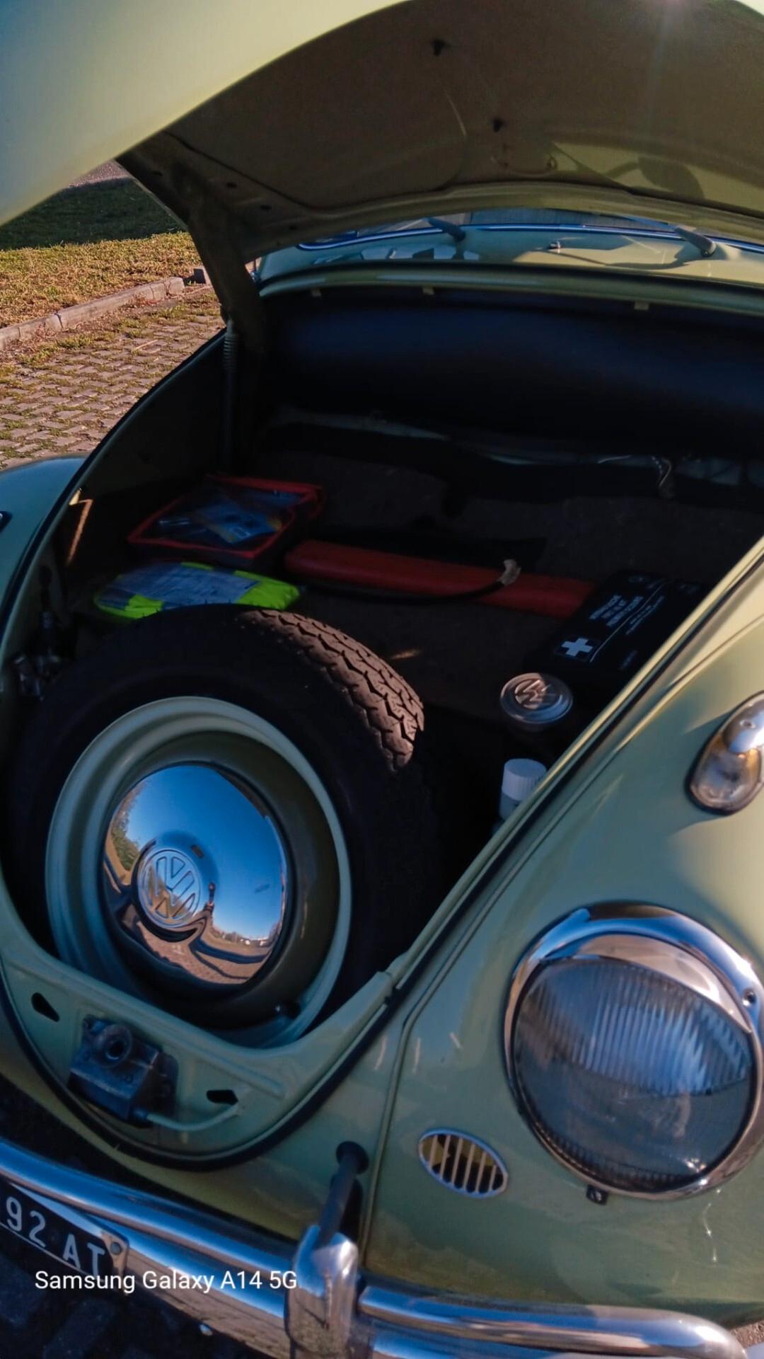 Volkswagen Maggiolino "Nasino"