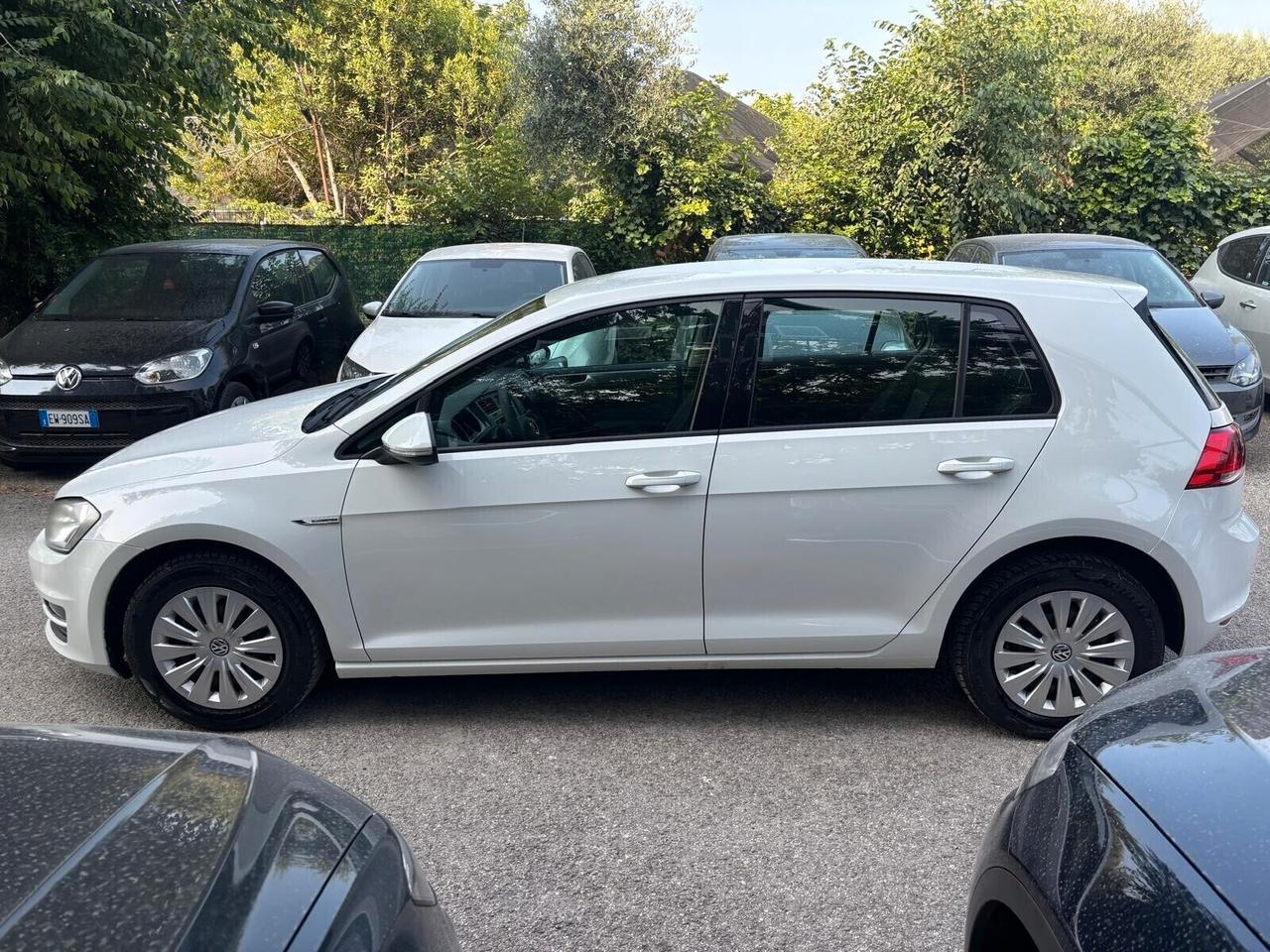 Volkswagen Golf 1.4 TGI 5p. OK Neopatentati