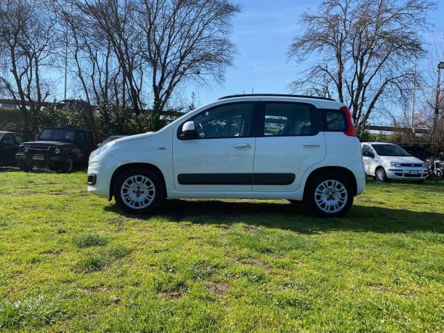 Fiat New Panda 1.2 69cv 5 posti * Cinghia gi? fatta! * Neopat.