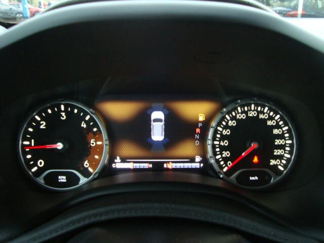 Jeep Renegade 2.0 Mjt 170CV 4WD Active Drive Low Trailhawk