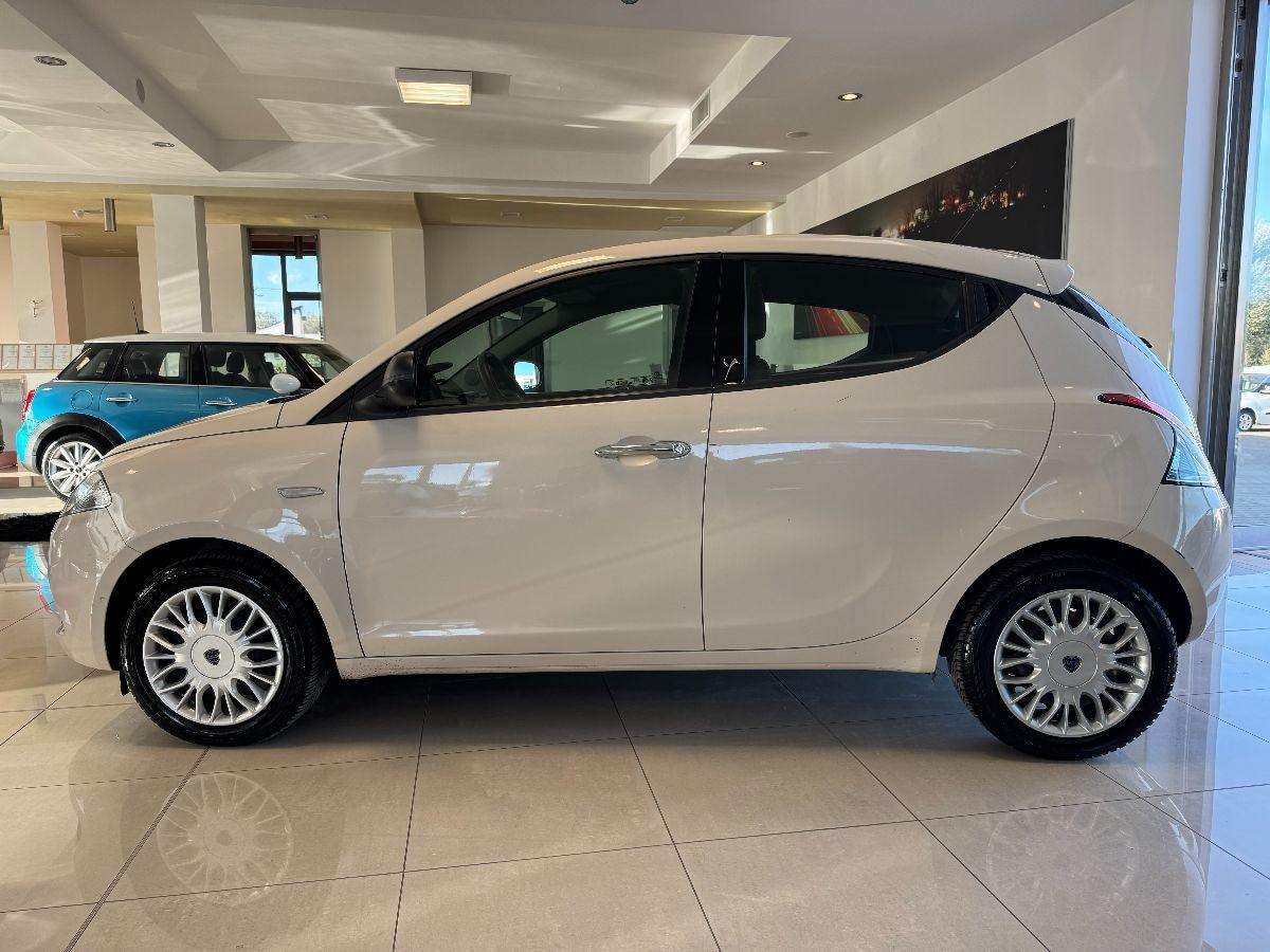 LANCIA Ypsilon 1.2 69 CV 5 porte Gold