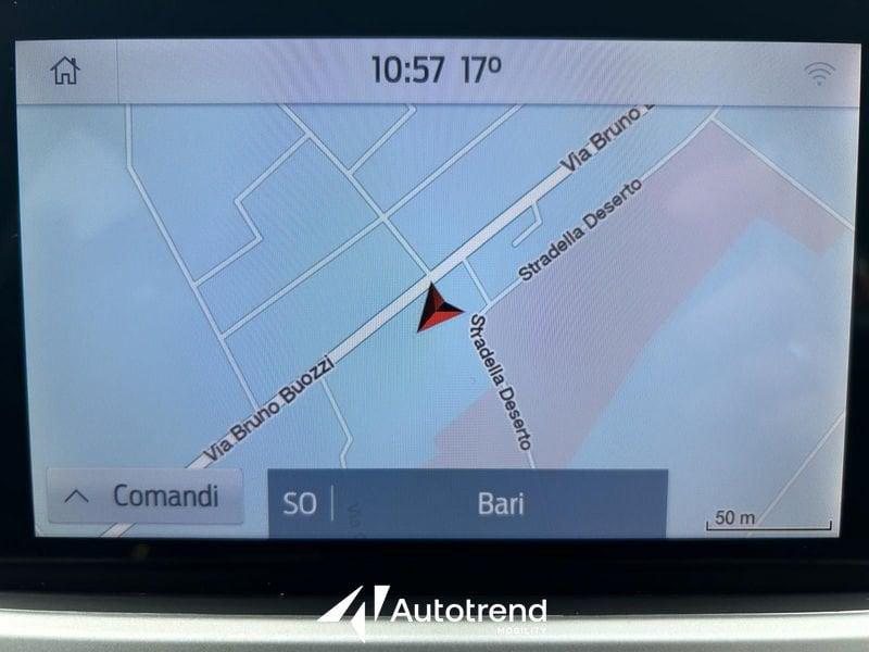Ford Focus 1.5 EcoBlue 120 CV Automatico SW Business Co-Pilot