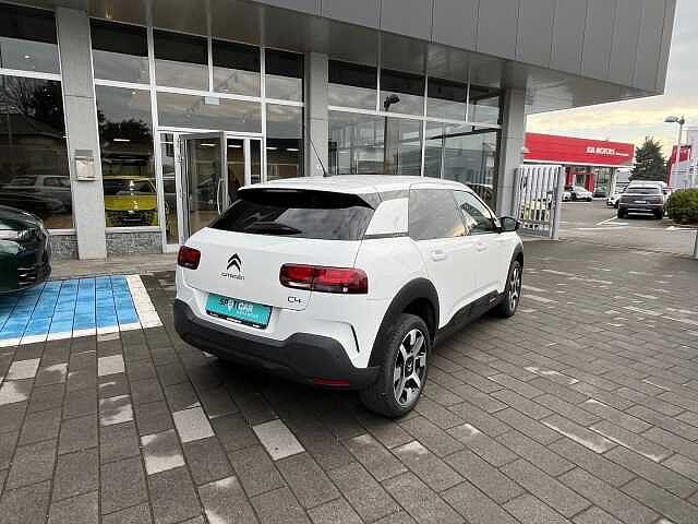 Citroen C4 Cactus 1.5 BlueHDi 100cv SHINE USATO GARANTITO