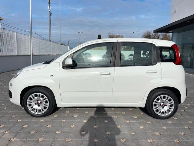 Fiat Panda 1.3 MJT 80 CV Autocarro N1 4 posti 2018