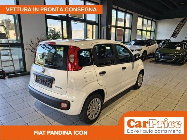 FIAT Pandina 1.0 FireFly 65CV Hybrid Icon (5 Posti)