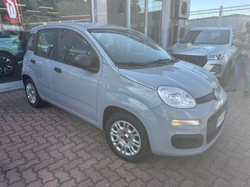 FIAT Panda 3ª serie 1.2 Easy